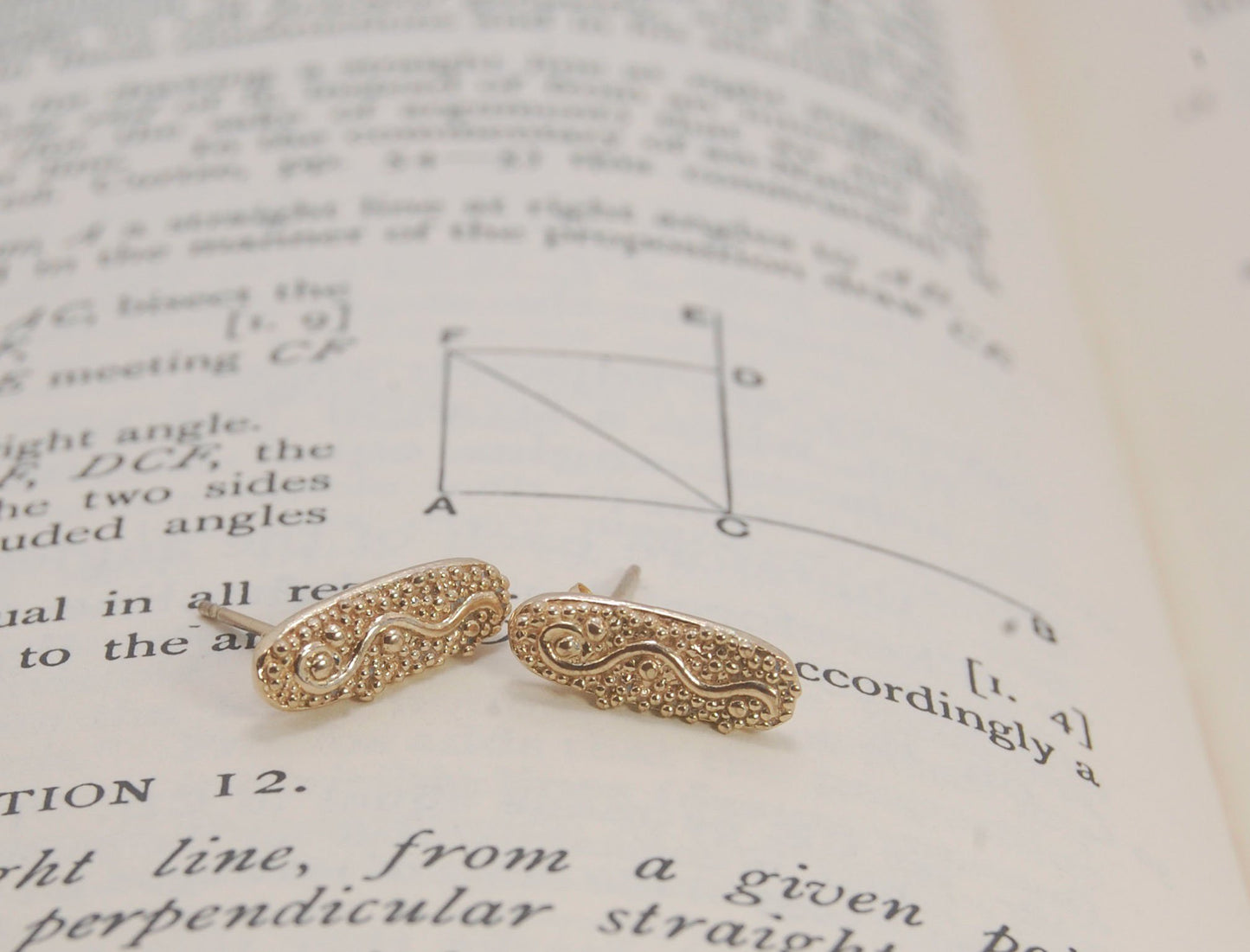 Seaweed Post Earrings - Large -in Sterling Silver or 14k gold These are the largest of my 2 seaweed detailed post earrings and are cast in sterling from an original granulated pair I designed to go with my Seaweed Collection.Cast in sterling using the pro